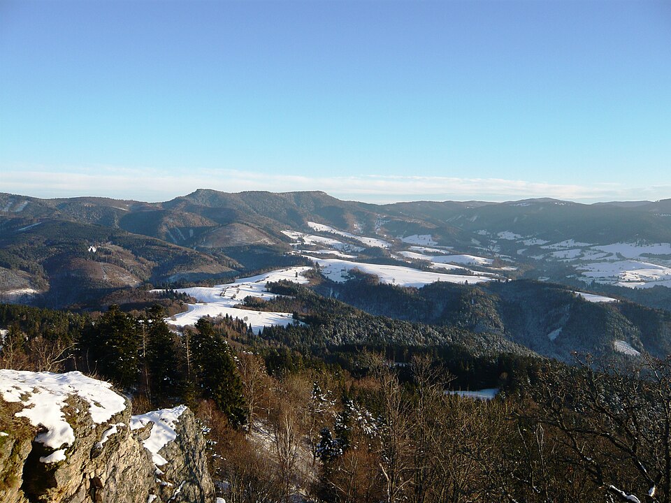 Autokino Orava